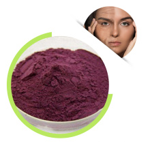 Click Factory Supplies Black Elderberry Extract Powder 10:1